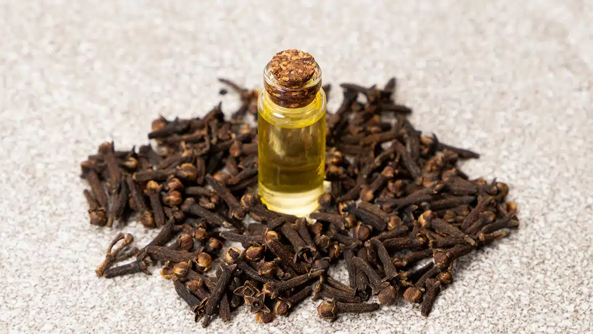 معرفی تلخ ترین عطرهای مردانه