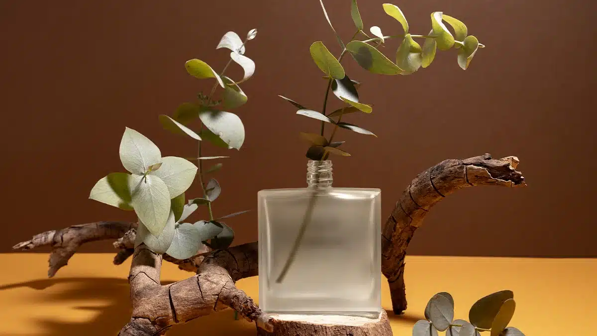 چرا عطرهای چوبی مردانه محبوبیت زیادی دارند؟